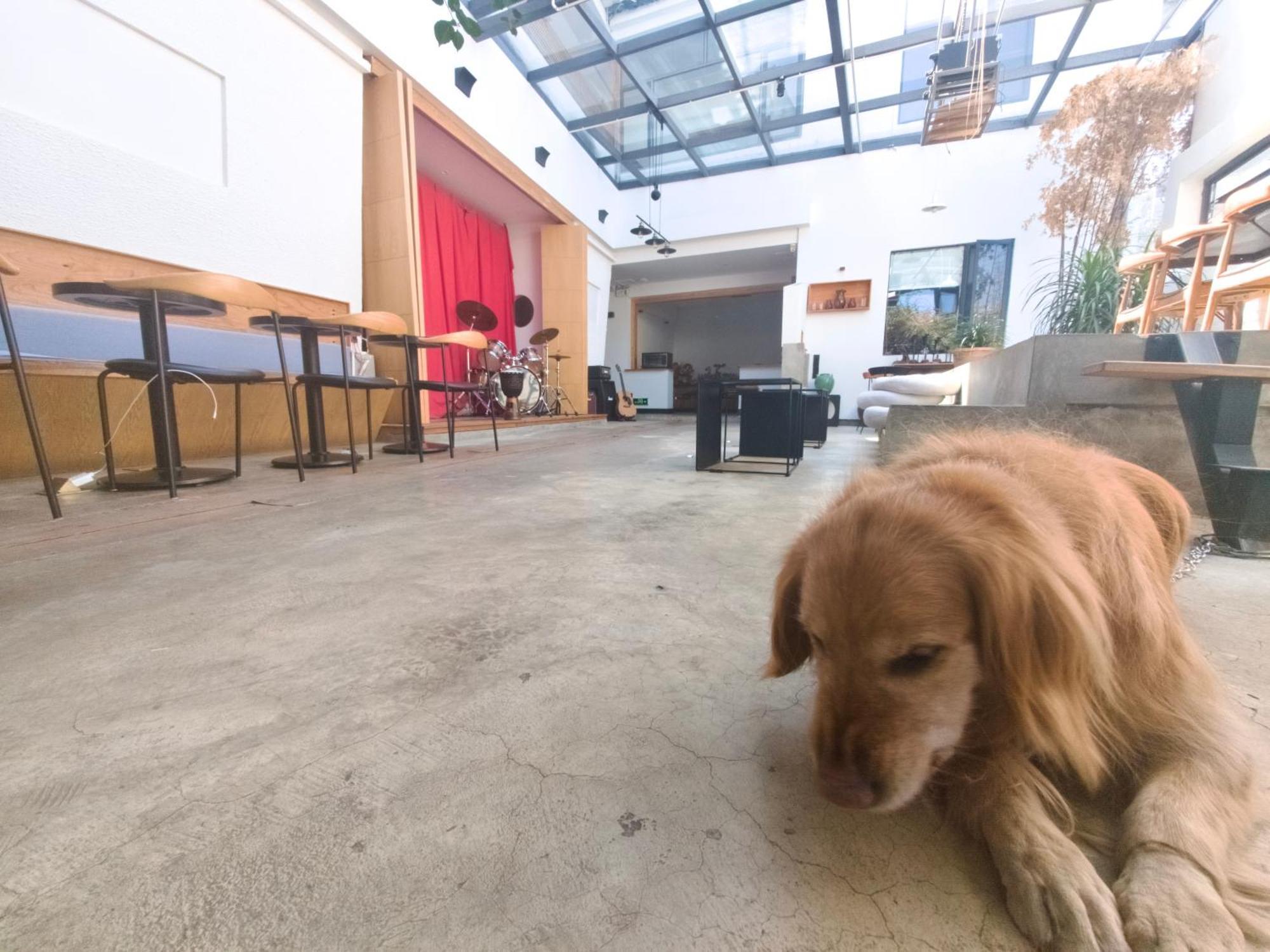 Dali Loft Travelling With Hostel Exterior photo